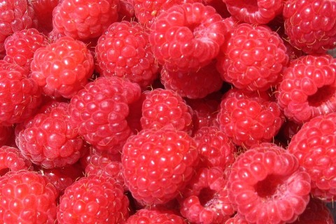 malna(960x640).jpg (Array)