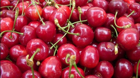 meggy(960x640).jpg (Array)