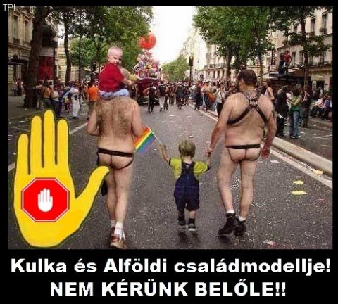 melegfelvonulás kamukép (Array)