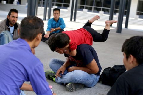 menekultek(2)(960x640).jpg (Array)