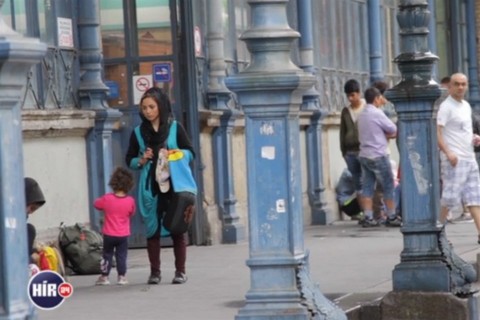 menekultek(960x640).jpg (Array)