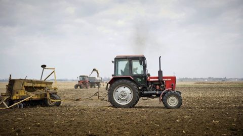 mezogazdasag(210x140).jpg (Array)