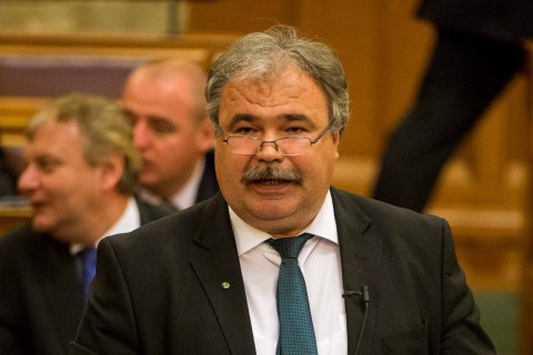 nagy istván (Array)