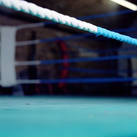 ökölvívás (Array)