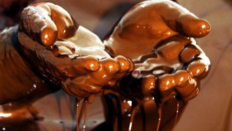 olajfurdo-1(960x640).jpg (Array)