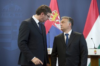 orbán Vucic (Array)