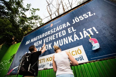 plakátrongálás1 (Array)