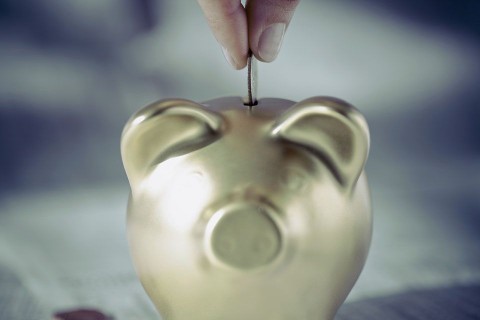 sporolas(210x140).jpg (Array)