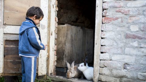 szegeny-gyermek(210x140).jpg (Array)