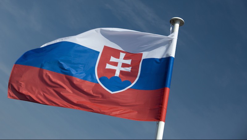szlovák zászló (Array)