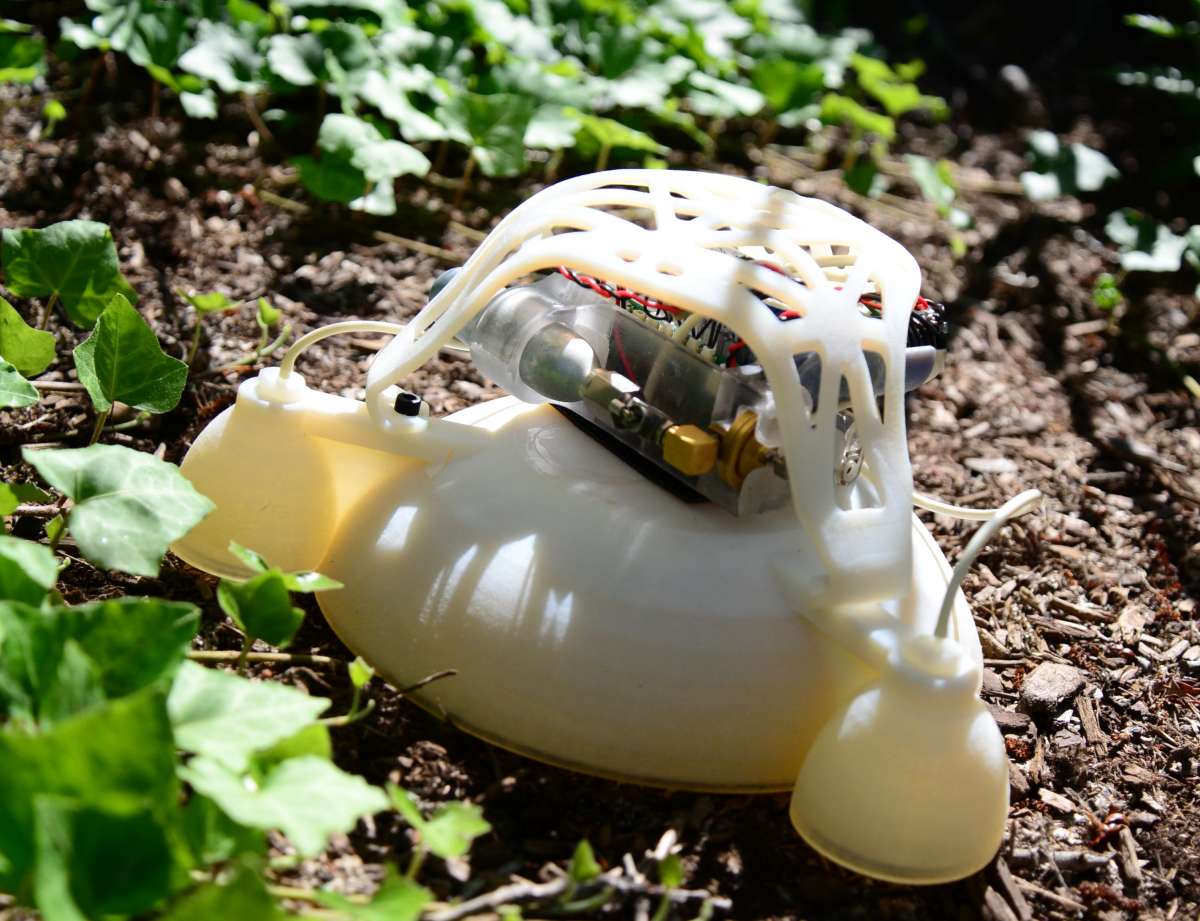 szöcskebot (Array)