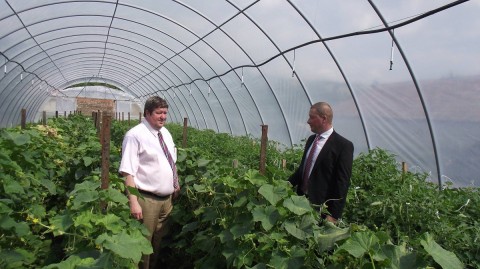 tállai andrás (Array)