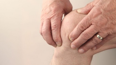 terdfajas(210x140).jpg (Array)