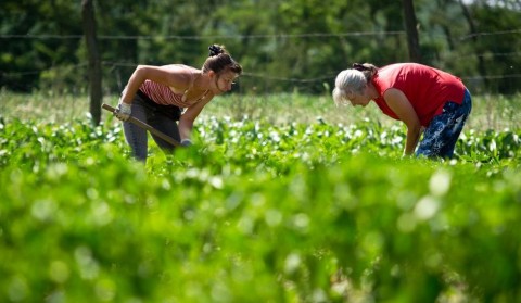 termofold(210x140).jpg (Array)