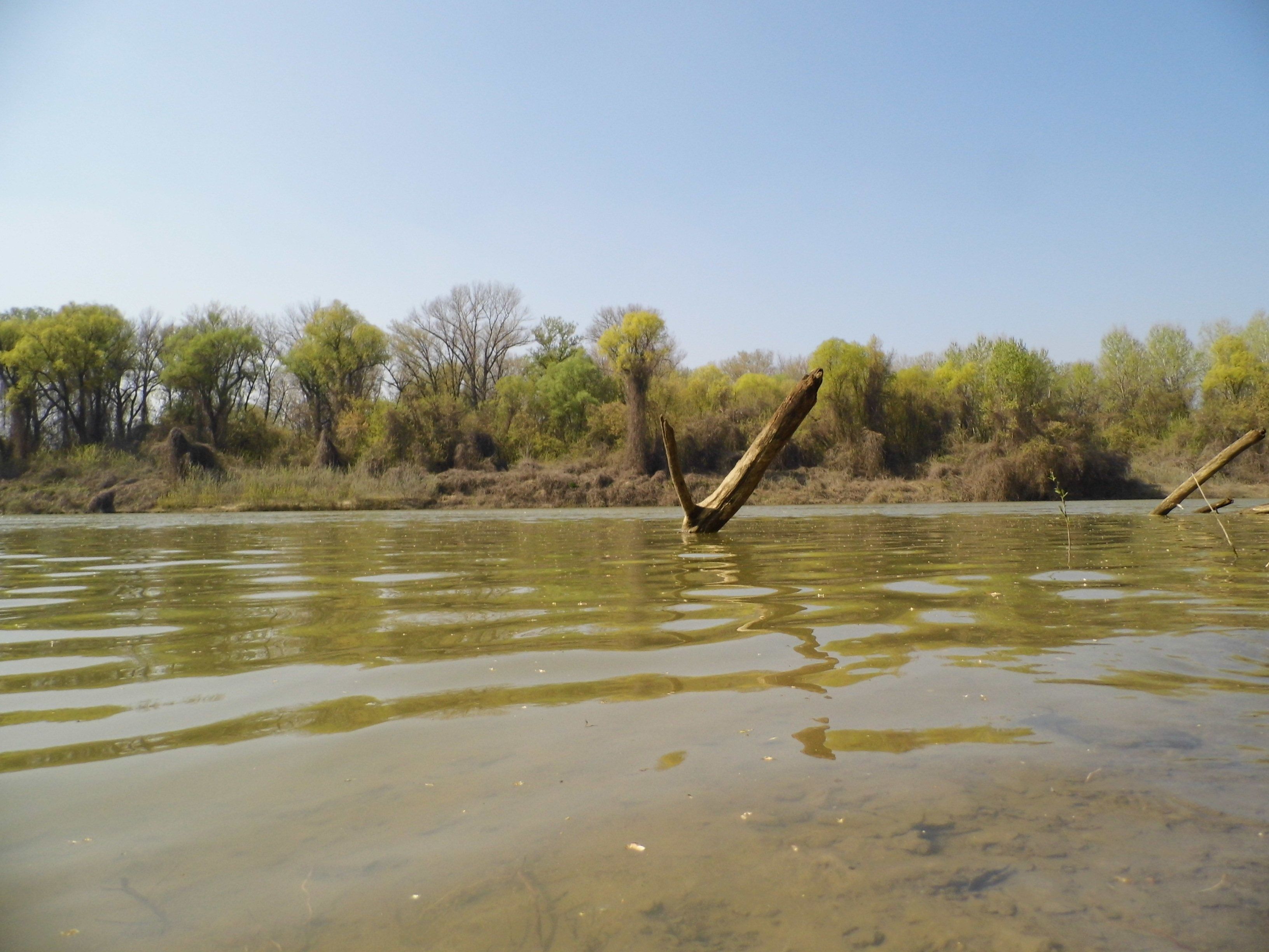 tisza (Array)