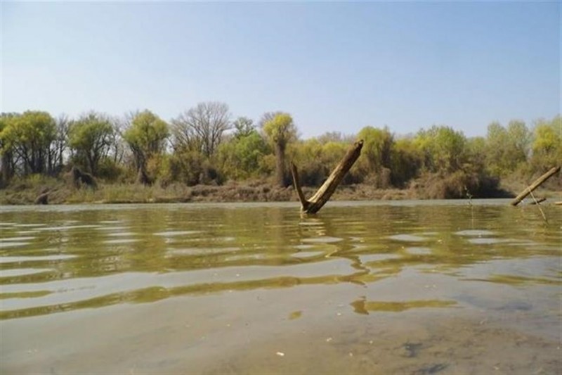 tisza(1)(960x640).jpg (Array)