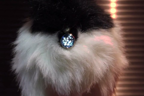 twinkle-tush(960x640).jpg (Array)