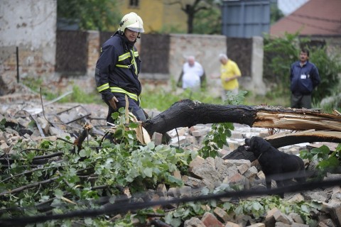 vihar(5b4df20a-e6ca-4d76-b239-cda9424c5f3e)(210x140).jpg (Array)