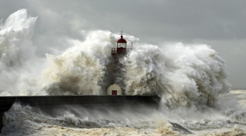 vilagvege-3(650x433).jpg (Array)