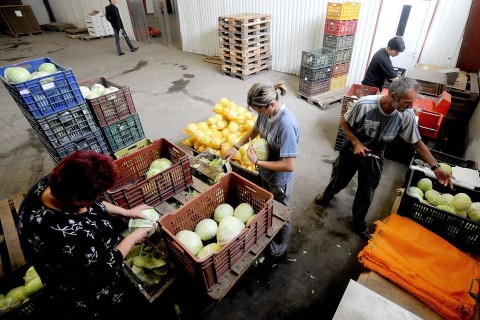 zoldseg(210x140).jpg (Array)