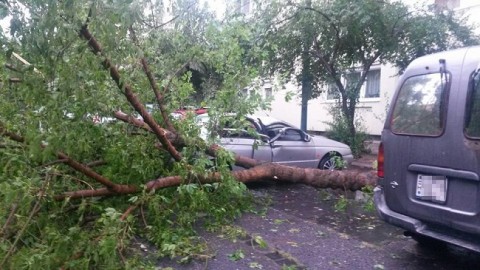 zugló viharkár (Array)