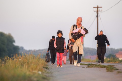 Bevándorlók (Array)