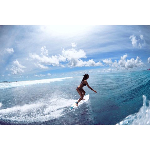 Bodi-Sylvi(960x640).jpg (Array)