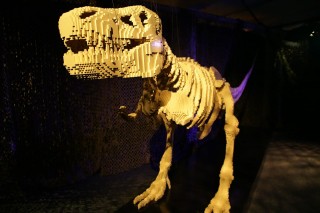 Dinoszaurusz-legobol(960x640).jpg (Array)