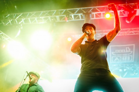 Dropkicky Murphys (Array)