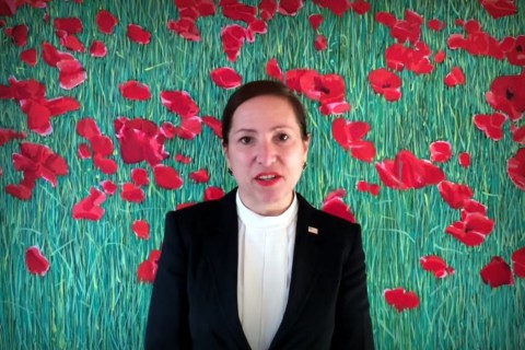 Elenis Kounalakis (Array)