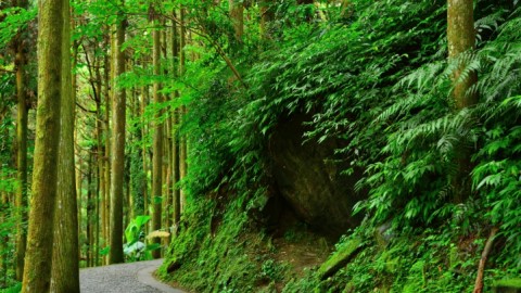 Erdo(210x140).jpg (Array)