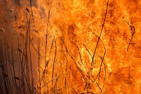 Erdotuz(210x140).jpg (Array)