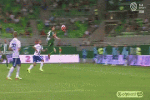 Gera Zoltán (Array)