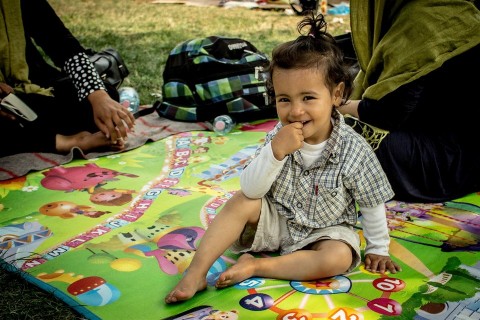 II(960x640).jpg (Array)