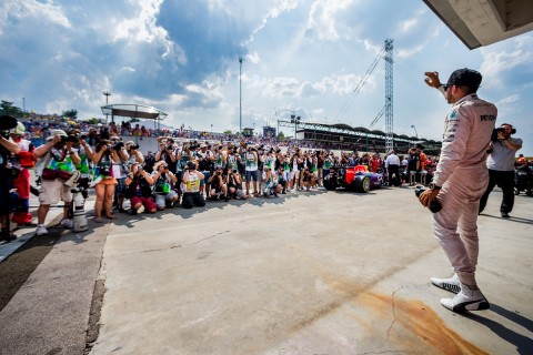 Lewis Hamilton (Array)