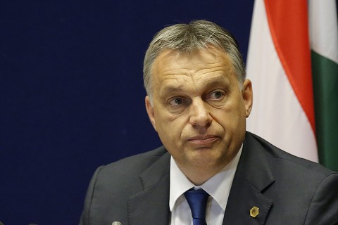 Orbán Viktor (Array)