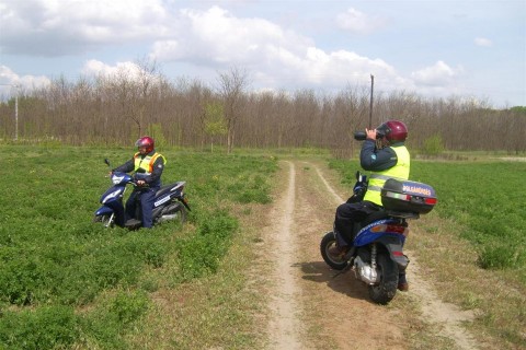 Polgarorok-a-hataron(960x640).jpg (Array)