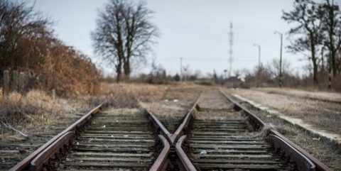 Sinek(210x140).jpg (Array)