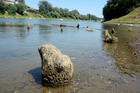 Törökkori fahíd cölöpjei (Array)