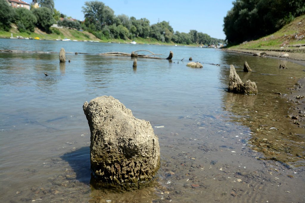 Törökkori fahíd cölöpjei (Array)