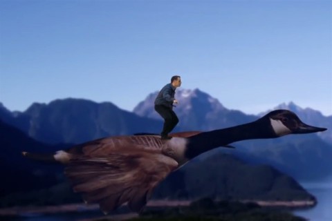 Wyatt-Scott(960x640).jpg (Array)