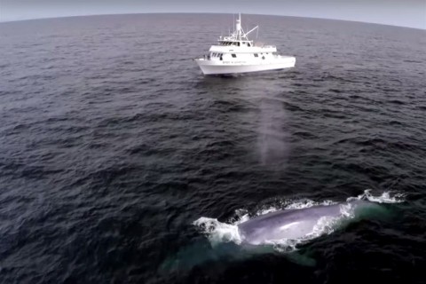 balna(960x640).jpg (Array)