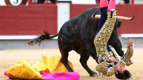 bikaviadal(430x286).jpg (Array)