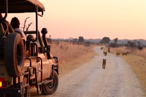 cecil-kolykei(960x640).jpg (Array)