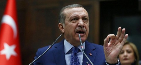erdogan (Array)