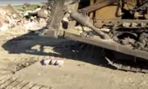 fagyasztott liba irtása lánctalpassal (Array)