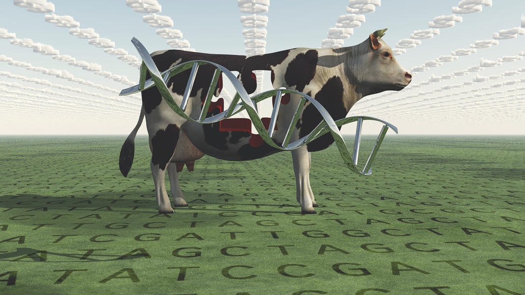 gmo-tehen(960x640).jpg (Array)