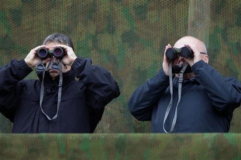 hende-csaba(1)(2)(960x640).jpg (Array)