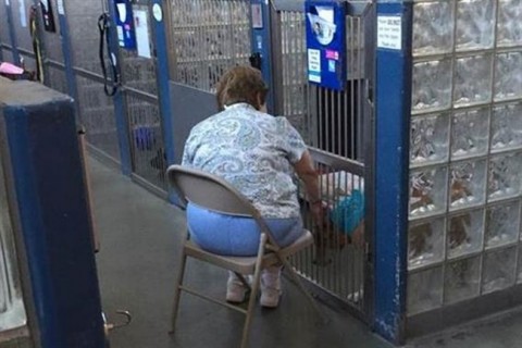 idos-no(650x433).jpg (Array)