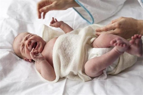 kisbaba(1)(960x640).jpg (Array)